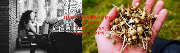 меф Нефтекумск