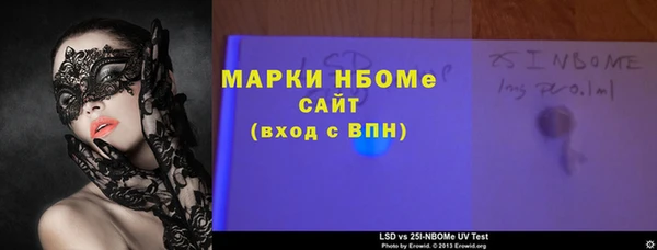 индика Березники