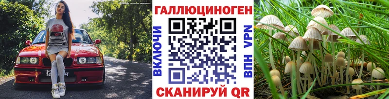 Псилоцибиновые грибы прущие грибы  закладки  Чердынь 